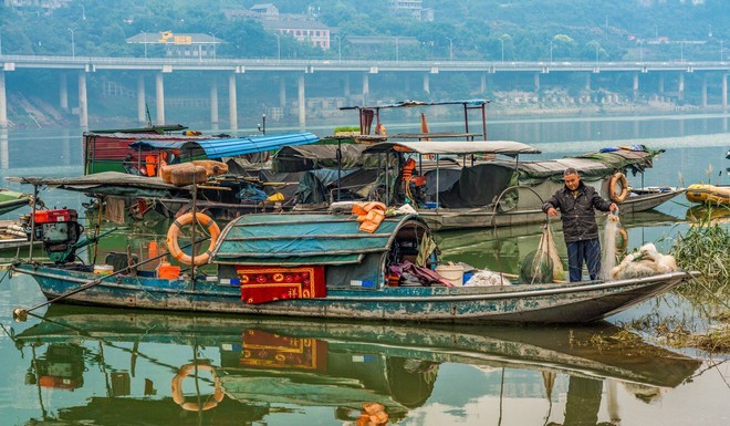 Cấm đánh cá, khiến hàng vạn lao động bơ vơ: Liệu TQ có thể hồi sinh sông Dương Tử thành công? - Ảnh 1.