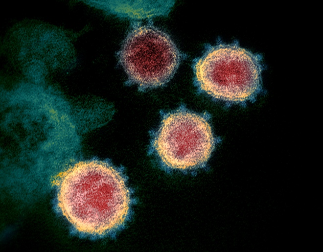 Chuyên gia dịch tễ: Virus SARS-CoV-2 biến đổi như vậy là chậm, có loại virus biến đổi cả trăm lần mỗi năm - Ảnh 1. Chuyên gia dịch tễ: Virus SARS-CoV-2 biến đổi như vậy là chậm, có loại virus biến đổi cả trăm lần mỗi năm - Ảnh 1.