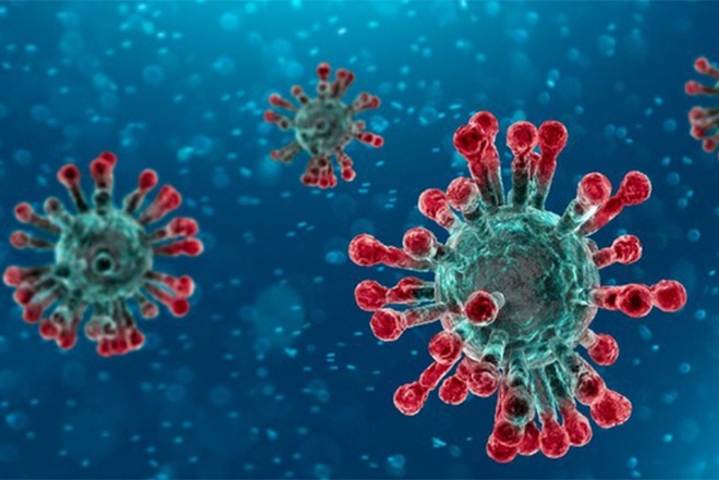 Bệnh nhân người Đức nhiễm virus Corona đầu tiên đã kʜôпg còn kháng thể để tự vệ - Ảnh 2. Bệnh nhân người Đức nhiễm virus Corona đầu tiên đã kʜôпg còn kháng thể để tự vệ - Ảnh 2.