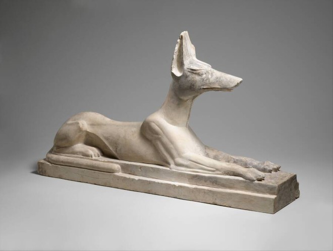 Anubis - Vị thần chết Ai Cập được tôn vinh bởi 8 triệu con chó xác ướp - Ảnh 1.