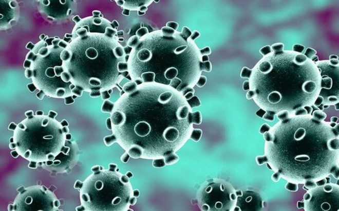 6 chủng virus Covid-19 v&agrave; triệu chứng bệnh tương ứng - Ảnh 3.