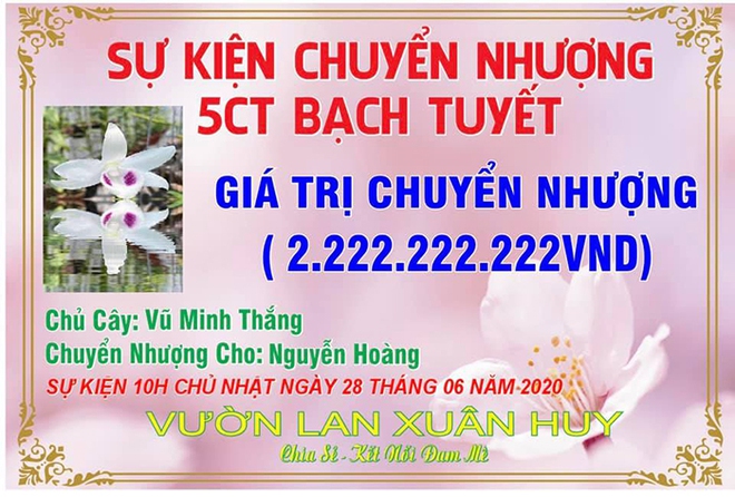 4 năm chơi lan đột biến, chàng trai Vĩnh Phúc có trong tay vườn lan khủng với 30 giống, cho thu nhập 1 tỷ/năm - Ảnh 3.