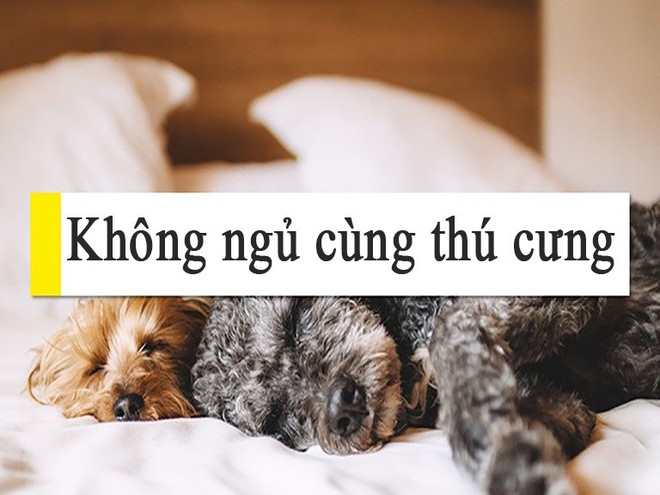 15 mẹo đơn giản để có giấc ngủ ngon mỗi ngày - Ảnh 6.