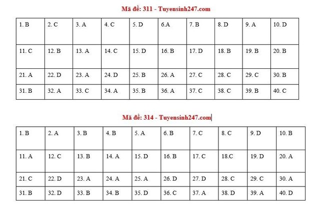 [CẬP NHẬT] Đáp án tất cả các mã đề thi môn Lịch sử kỳ thi THPT Quốc gia 2020 - Ảnh 3.