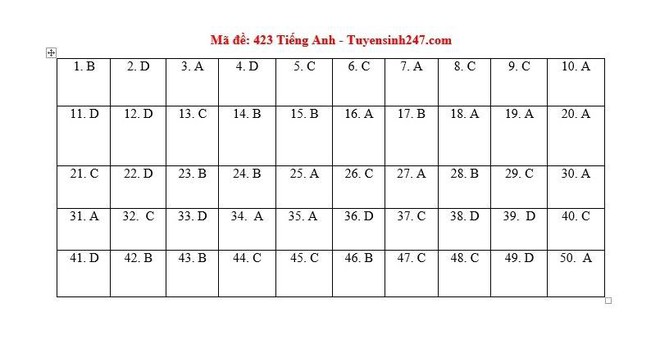 [CẬP NHẬT] Đáp án tất cả các mã đề môn Anh kỳ thi tốt nghiệp THPT Quốc gia năm 2020 - Ảnh 8.