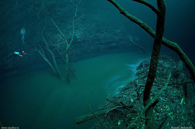 Xuất hiện dòng sông ma ở độ sâu 30m dưới nước - Ảnh 3.