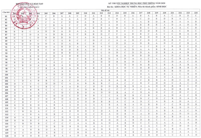 Đáp án chính thức của Bộ GD-ĐT tất cả các môn thi THPT Quốc gia 2020 - Ảnh 6.