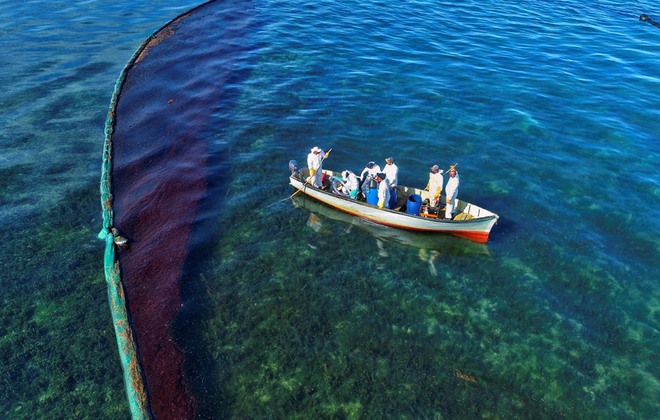 Cận cảnh thảm họa môi trường ngoài khơi quốc đảo Mauritius - Ảnh 11.