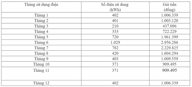 Tư vấn nhanh cách lựa chọn trả tiền điện cho gia đình 6 người: Tránh xa điện 1 giá, phương án này mới là lựa chọn khôn ngoan - Ảnh 2.