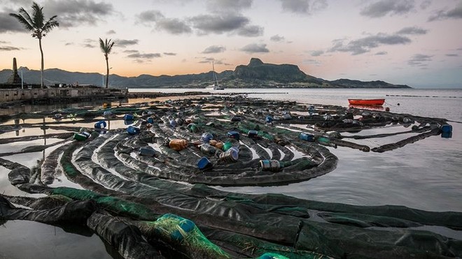 Tàu chở dầu Nhật Bản vỡ đôi trên biển Mauritius - Ảnh 2.