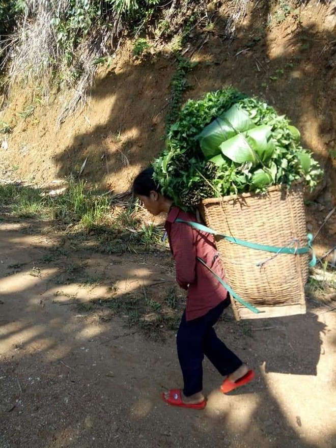 Cậu bé chân trần đi bộ đường núi, vác cây măng trên vai gửi tặng người dân ở tâm dịch Đà Nẵng - Ảnh 4.