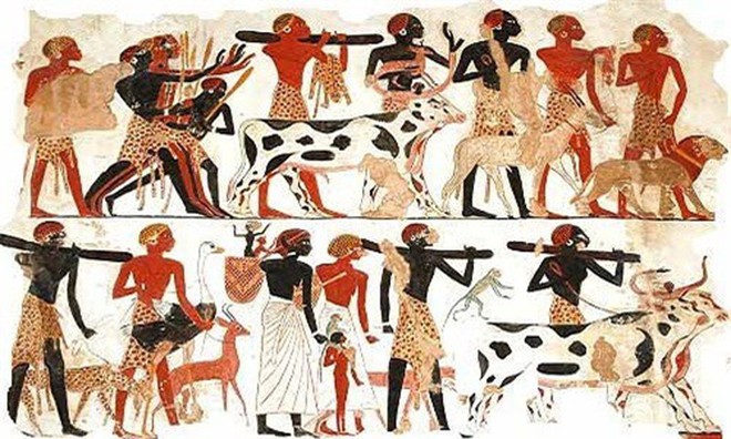 Tín ngưỡng thờ động vật của người Ai Cập cổ đại - Ảnh 1.