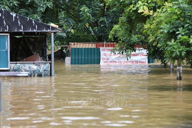 Mực nước sông Hồng ở Hà Nội lên nhanh, nguy cơ ngập lụt vùng trũng và bãi bồi - Ảnh 6.