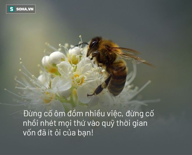 Chỉ cần làm được 1 việc này, con người sẽ bớt được mệt mỏi, muộn phiền: Bạn có biết đó là việc gì? - Ảnh 2.