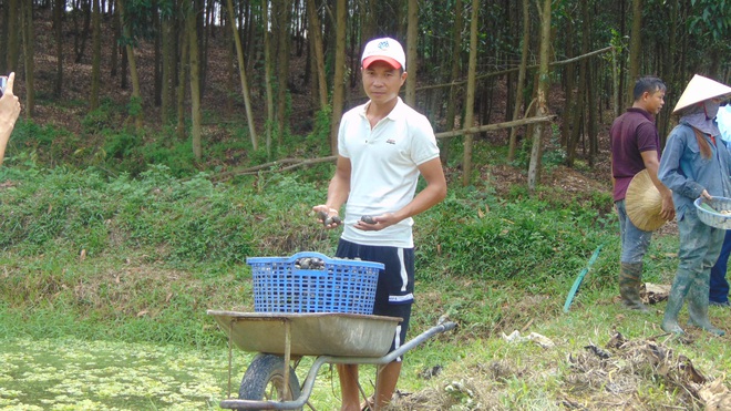 Đánh liều nuôi loài ốc siêu đẻ, có thời điểm 8X Thái Nguyên kiếm chục triệu mỗi ngày - Ảnh 5.