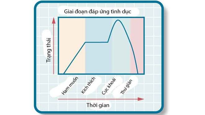 Cơ thể phụ nữ phản ứng ra sao khi quan hệ tình dục: Tiết lộ bất ngờ với cả nam và nữ - Ảnh 4. Cơ thể phụ nữ phản ứng ra sao khi quan hệ tình dục: Tiết lộ bất ngờ với cả nam và nữ - Ảnh 4.