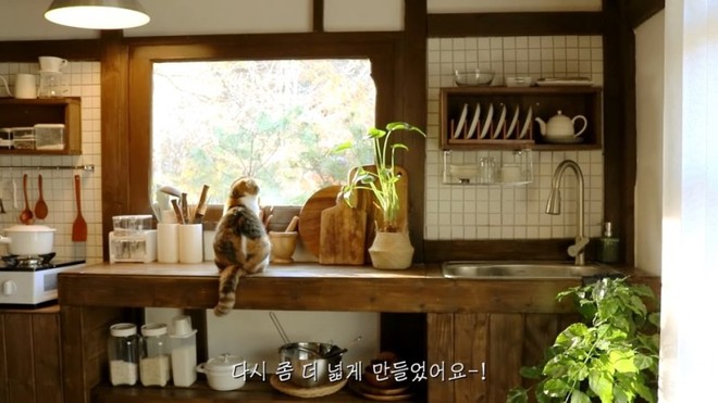 Tiên nữ đồng quê phiên bản Hàn: Nữ vlogger bỏ nơi phố thị đến ở ngôi nhà trong rừng, sống cuộc đời bình yên đáng mơ ước - Ảnh 7.
