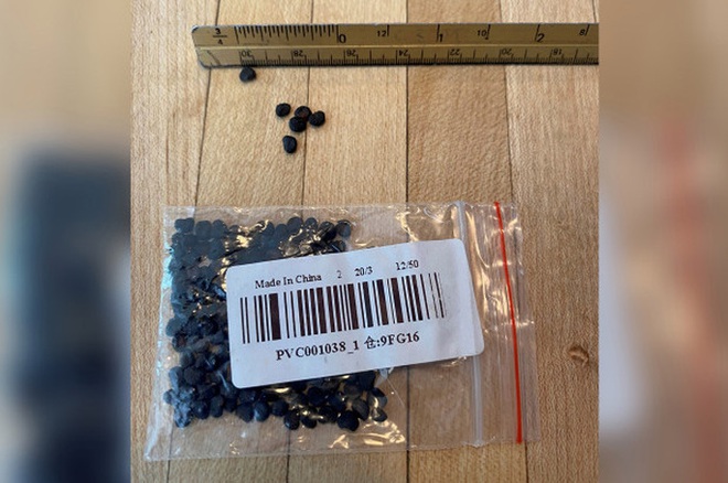 Nhật Bản, Ba Lan cũng nhận được hạt giống bí ẩn từ Trung Quốc - Ảnh 4.