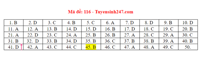 Đáp án các mã đề môn Toán kỳ thi tốt nghiệp THPT Quốc gia năm 2020; Hưng Yên dùng xe đặc chủng của CA vận chuyển bài thi - Ảnh 8.