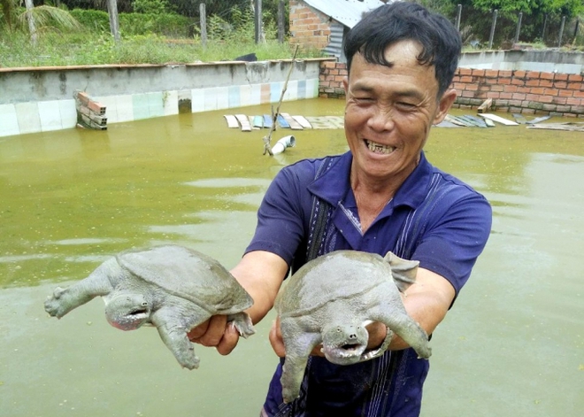 Nuôi loài chân vịt, thịt gà, da trâu, đầu rắn, chim siêu to khổng lồ đút túi tiền tỷ - Ảnh 3.