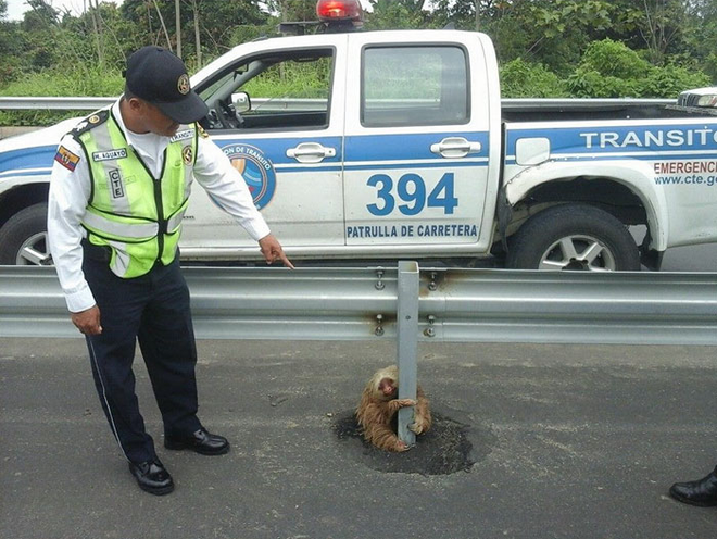 17 lần thiên nhiên làm con người bất ngờ: Ai nghiêm túc nhất cũng phải phì cười với số 11 - Ảnh 16. 17 lần thiên nhiên làm con người bất ngờ: Ai nghiêm túc nhất cũng phải phì cười với số 11 - Ảnh 16.
