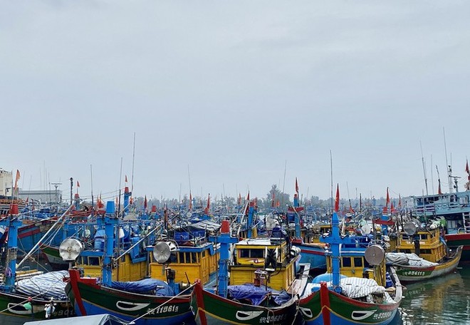 Hàng trăm du khách vội vã rời đảo Lý Sơn để tránh bão số 5 - Ảnh 6.