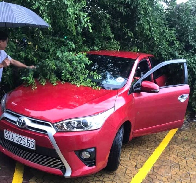 Sau bão, nhiều hộ dân vẫn bị cô lập trong biển nước, cột viễn thông cao cả trăm mét bị xô đổ - Ảnh 9. Sau bão, nhiều hộ dân vẫn bị cô lập trong biển nước, cột viễn thông cao cả trăm mét bị xô đổ - Ảnh 9.