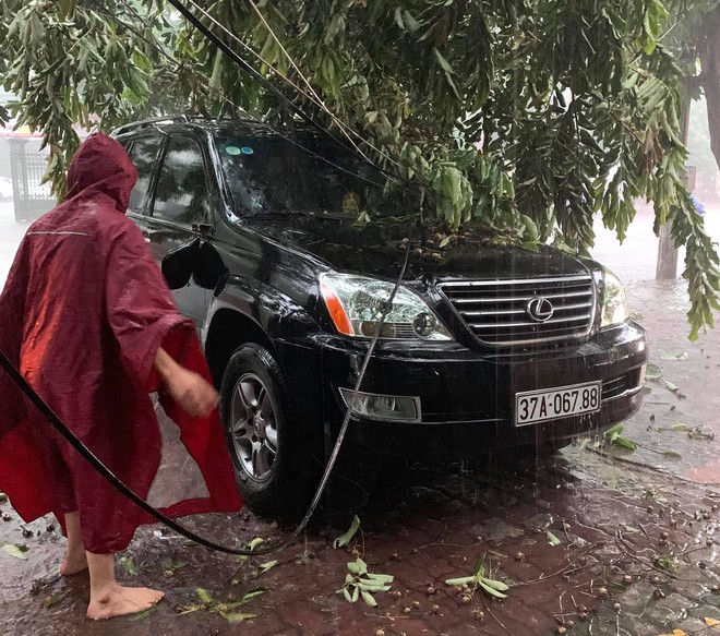 Sau bão, nhiều hộ dân vẫn bị cô lập trong biển nước, cột viễn thông cao cả trăm mét bị xô đổ - Ảnh 8. Sau bão, nhiều hộ dân vẫn bị cô lập trong biển nước, cột viễn thông cao cả trăm mét bị xô đổ - Ảnh 8.
