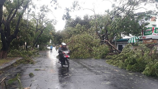 Bão số 5: Gió bão mạnh quật ngã hàng loạt người đi xe máy ở TP Huế - Ảnh 2. Bão số 5: Gió bão mạnh quật ngã hàng loạt người đi xe máy ở TP Huế - Ảnh 2.