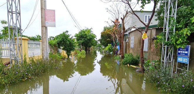 Sau bão, nhiều hộ dân vẫn bị cô lập trong biển nước, cột viễn thông cao cả trăm mét bị xô đổ - Ảnh 11. Sau bão, nhiều hộ dân vẫn bị cô lập trong biển nước, cột viễn thông cao cả trăm mét bị xô đổ - Ảnh 11.