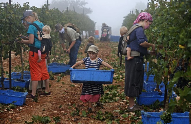 24h qua ảnh: Siêu xe tăng của quân đội Nga khai hỏa khi tập trận - Ảnh 6.