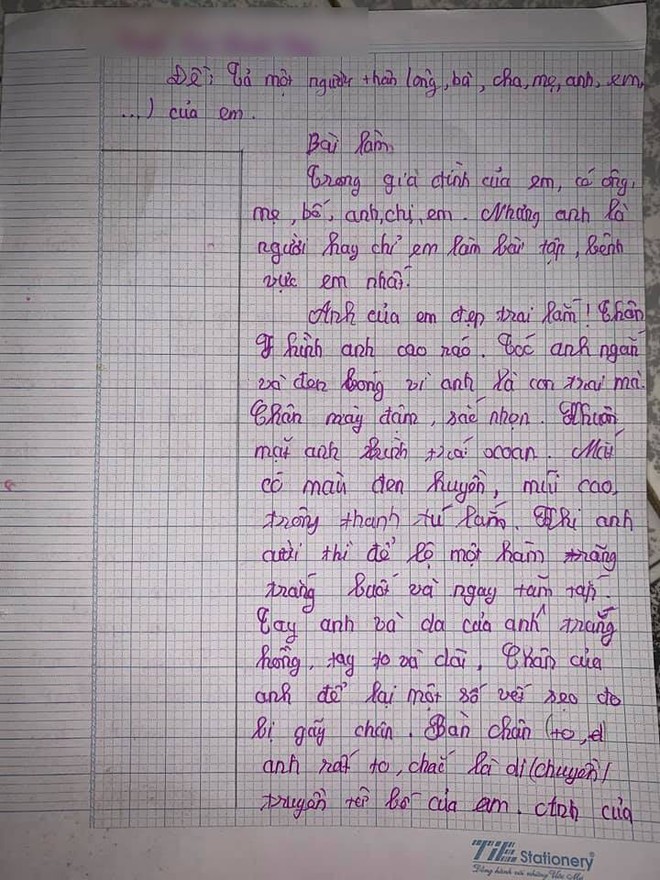 Bé gái cấp 1 làm văn tả anh trai, cả bài đang cảm động riêng đến phần kể về trí thông minh, ông anh phải phì cười: Có tả nhầm ai không đấy? - Ảnh 2.