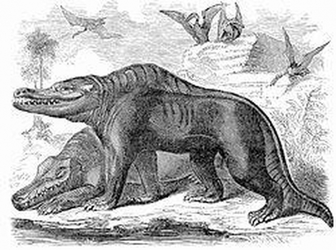 Nghi vấn loài khủng long vẫn chưa tuyệt chủng? - Kỳ 2: Những vụ chứng kiến sự xuất hiện của khủng long - Ảnh 2.