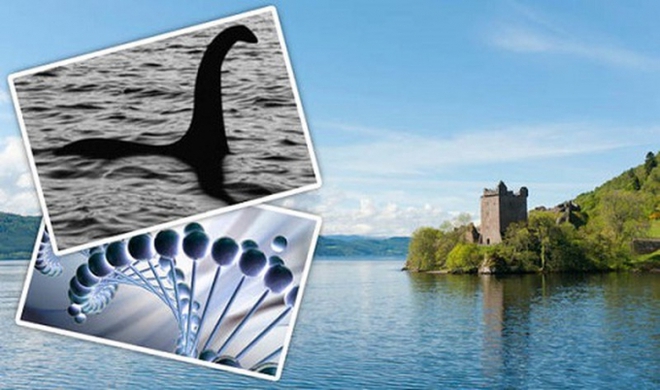 Bí ẩn ngàn năm về quái vật hồ Loch Ness - Kỳ 2: Bất ngờ thủy quái khổng lồ xuất hiện trên cạn - Ảnh 1.