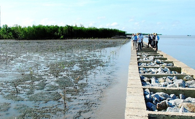 Cà Mau họp khẩn vụ sai phạm gần trăm tỉ đồng tại dự án nâng cấp đê biển Tây - Ảnh 4.