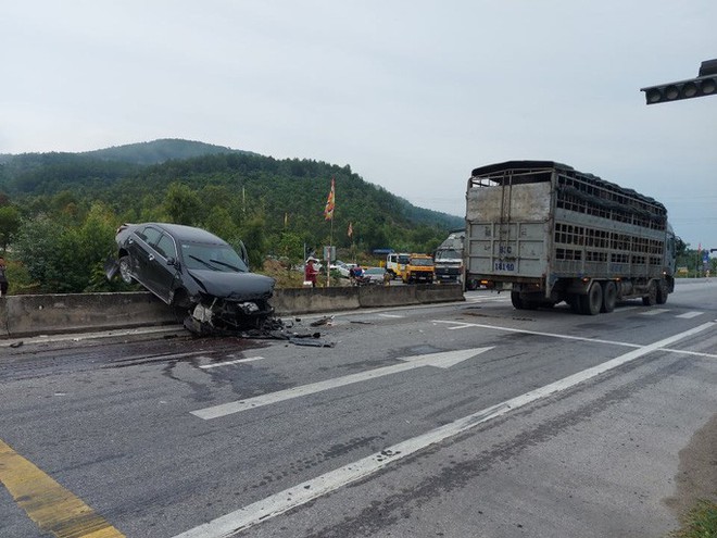 Vượt xe tải gặp đàn bò băng qua đường, xế hộp ủi nát dải phân cách - Ảnh 1.