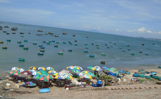 Kiểm tra thông tin mua 4 ký hải sản về cân lại chỉ 2,2 ký tại Mũi Né - Ảnh 3.