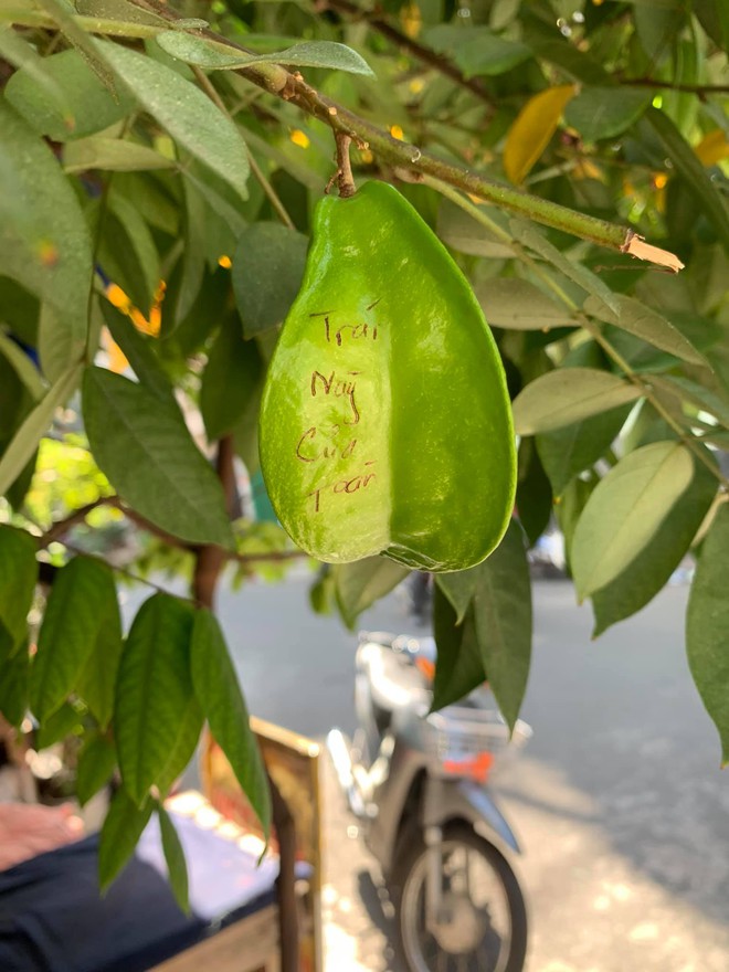 Hai quả khế được khắc chữ phía trên, đọc rõ nội dung ai cũng đều phải bật cười - Ảnh 1. Hai quả khế được khắc chữ phía trên, đọc rõ nội dung ai cũng đều phải bật cười - Ảnh 1.