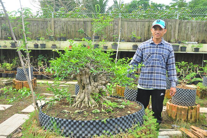 Choáng ngợp vườn bonsai khủng ở Đồng Tháp - Ảnh 6.