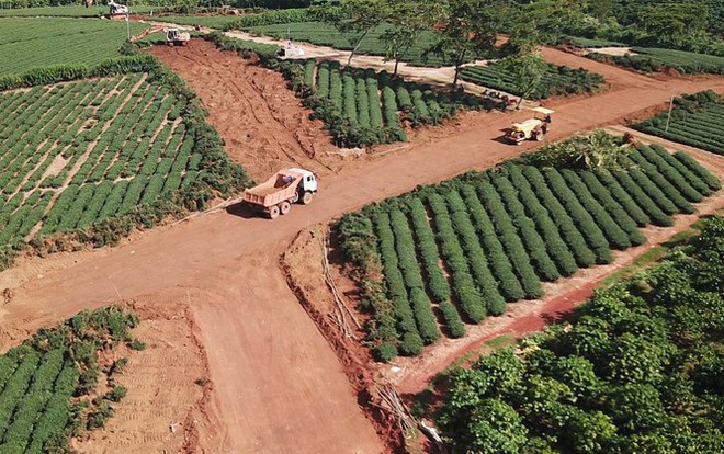 Bảo Lộc thành ‘điểm nóng’ đất đai, Chủ tịch, nguyên Chủ tịch thành phố bị thanh tra - Ảnh 3.