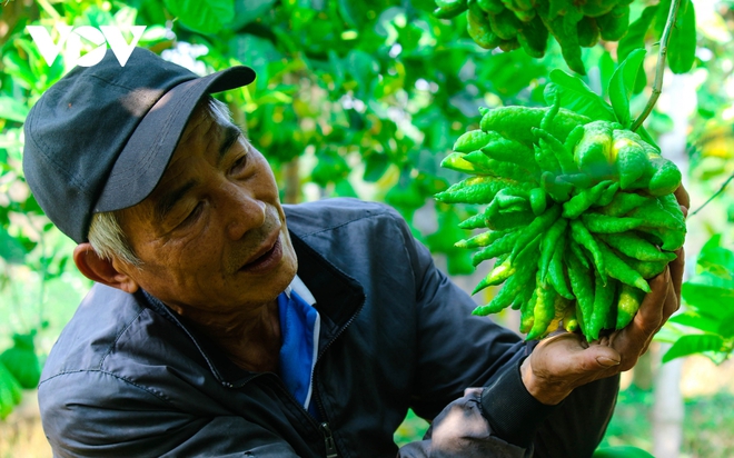 Làng Phật thủ Đắc Sở: “Tết này không được như Tết qua” - Ảnh 15.