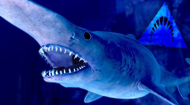 Bí ẩn về loài cá mập đáng sợ, xấu xí nhất hành tinh - Ảnh 1.