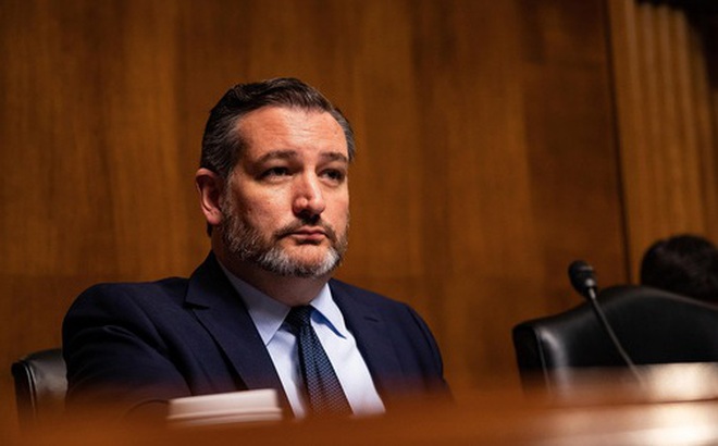 Thượng nghị sỹ bang Texas, Ted Cruz (ảnh: getty)