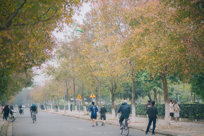Con đường lá vàng lãng mạn như phim Hàn thu hút giới trẻ Hà Nội đến “sống ảo” - Ảnh 6.