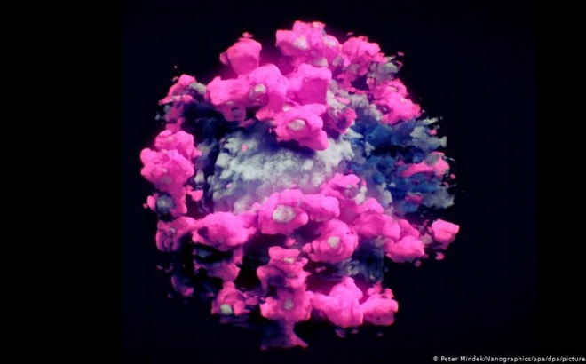 Ảnh 3D của virus SARS-CoV-2. Ảnh: DW.