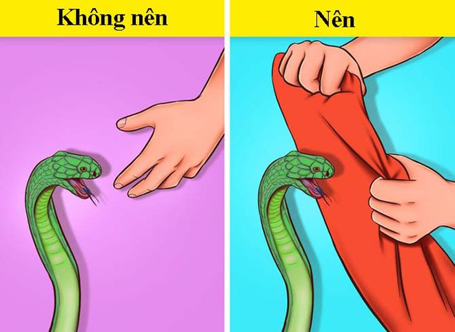 7 kỹ năng xử lý thông minh trong các tình huống “ngàn cân treo sợi tóc” - Ảnh 10.