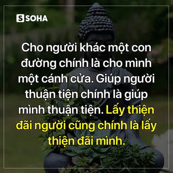 Bị 1 con nhện cắn vào tay nhưng không nỡ giết, viên lính không ngờ việc này đã cứu anh thoát khỏi vòng vây của quân địch - Ảnh 1.