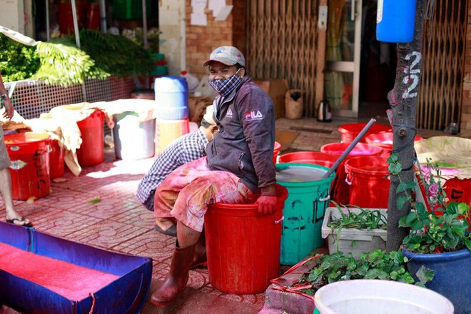 Chợ hoa đào nhuộm khoe sắc rực rỡ ở Đầm Sen - Ảnh 8.