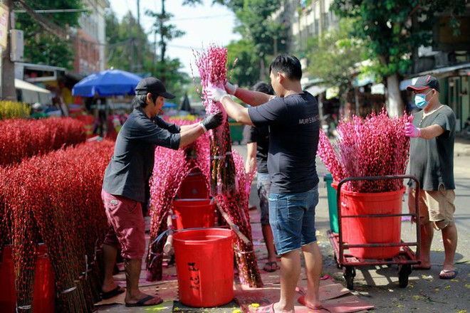 Chợ hoa đào nhuộm khoe sắc rực rỡ ở Đầm Sen - Ảnh 10.