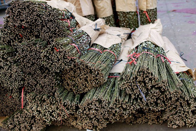 Chợ hoa đào nhuộm khoe sắc rực rỡ ở Đầm Sen - Ảnh 2.